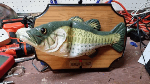 Something Fishy about Alexa…?